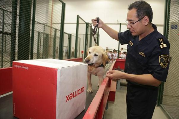 BJL平台官网-分享成都双眼皮和隆鼻五位厉害的整形医生(图1) BJL平台官网