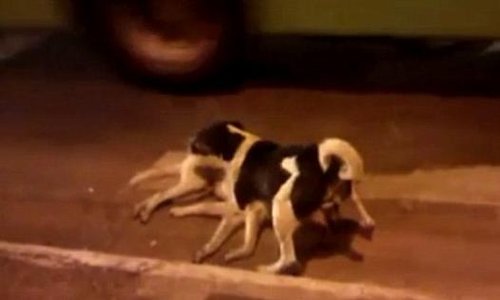 BJL平台官网|科普眼周衰老的3个阶段(图2) BJL平台官网