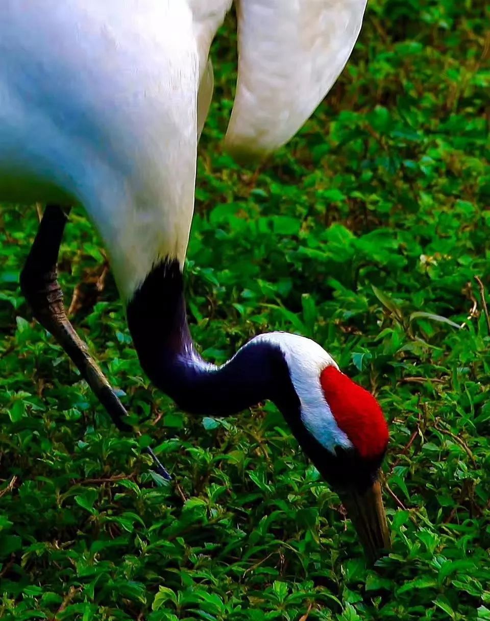安博会前夕丨千视通&比特大陆算硬结合,助力打造城市级解决方案中心“BJL平台官网”(图1) BJL平台