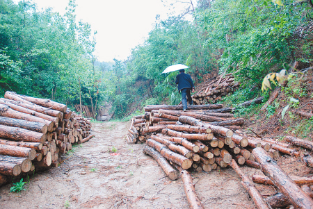 做脸不止是舒服 另有三大无法替代的作用-BJL平台官网(图1) BJL平台