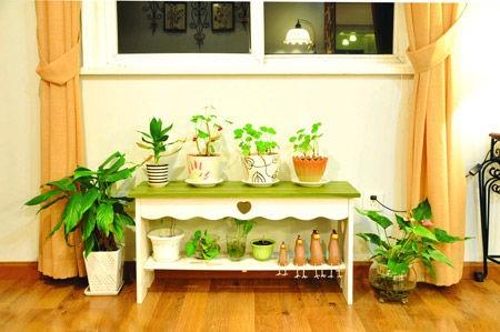 BJL平台:2018年度东莞市美容美刊行业守法诚信企业名单公示(图1) BJL平台官网