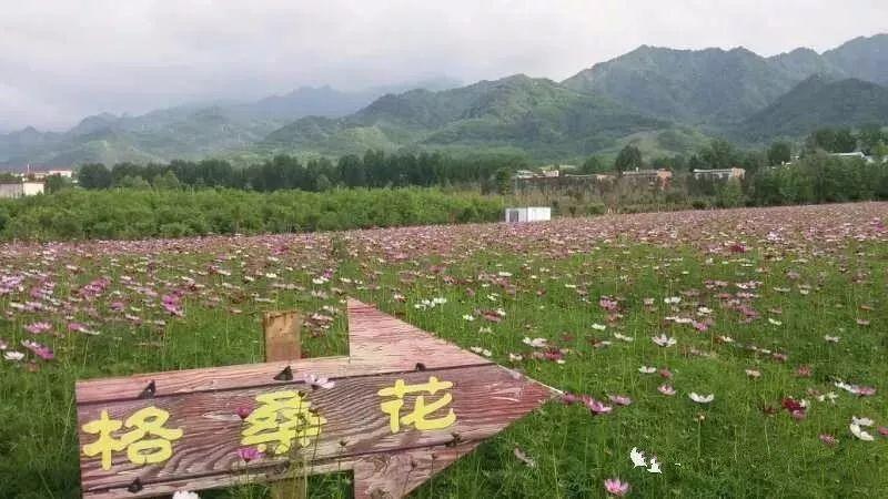 ‘BJL平台’化妆品PK自体脂肪 谁是最好护肤品(图1) BJL平台官网