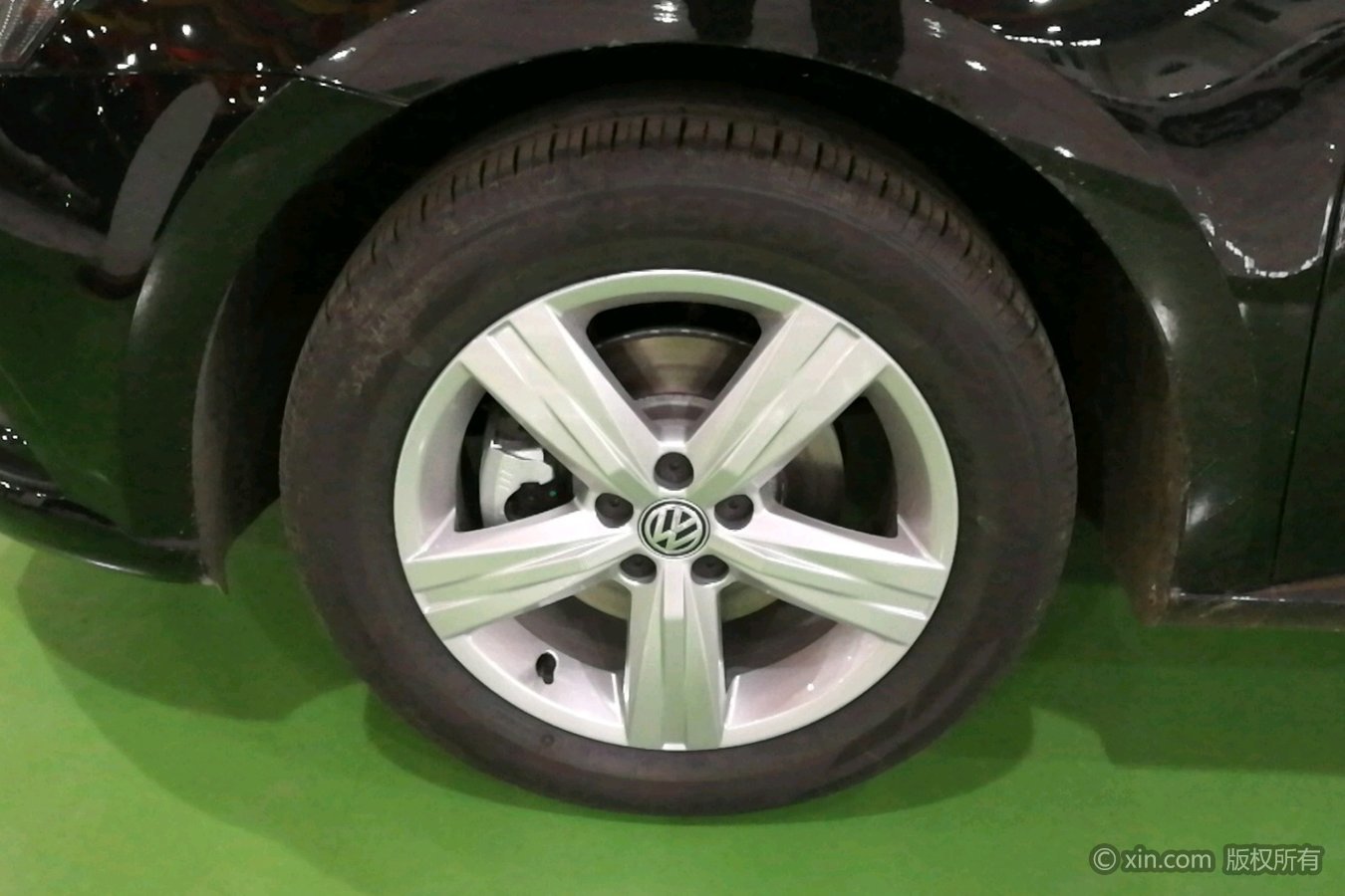 BJL平台：一张狗狗的俏皮照：竟让N多网友误会它是猪崽