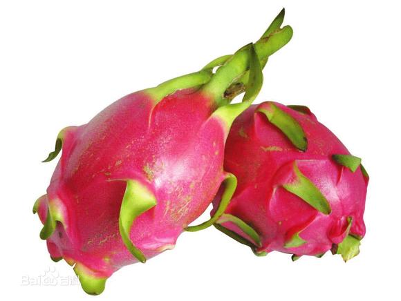 还在信祛痘偏方?别傻了!快收好这份超详细祛痘攻略|BJL平台(图2) BJL平台官网