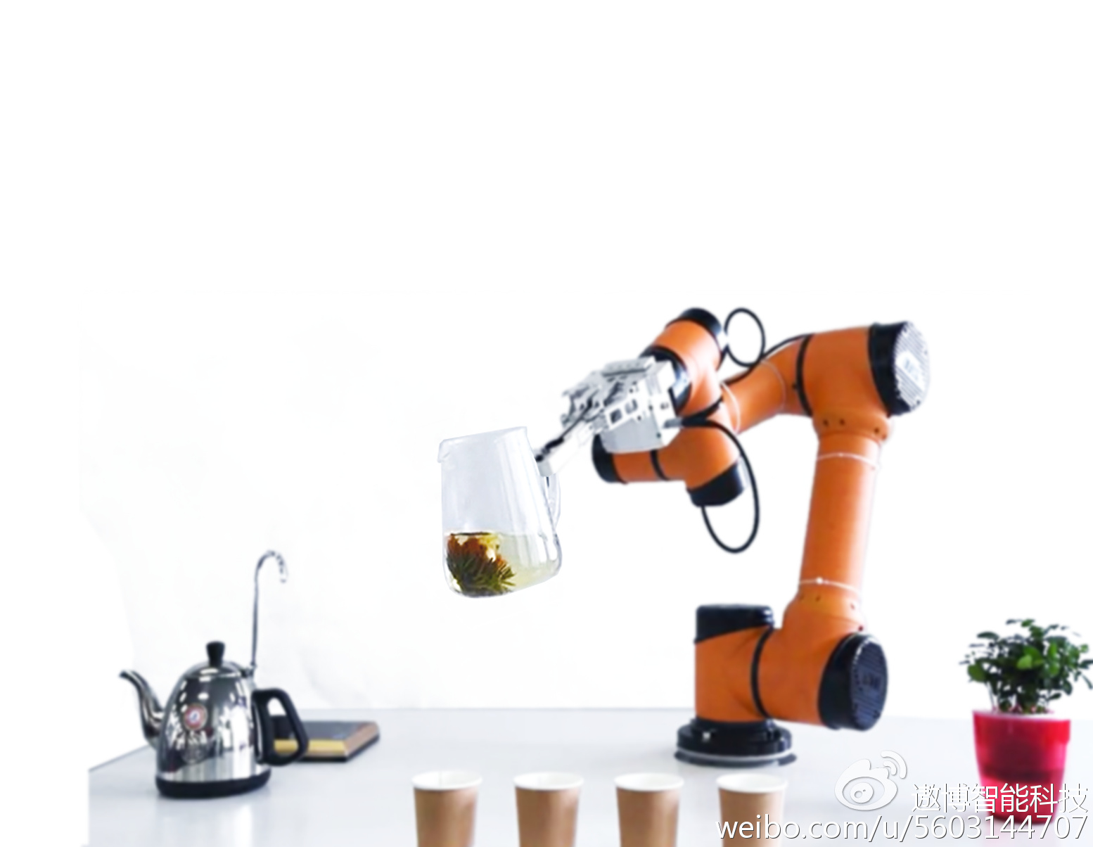 天鹅美颈针让你拥有美丽的天鹅颈_BJL平台(图1) BJL平台