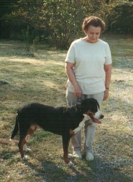 BJL平台-2019年武汉双眼皮整形价格及医院口碑分析(图1) BJL平台官网