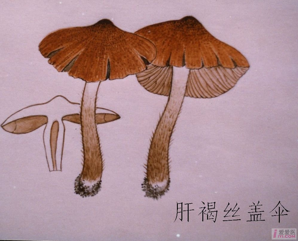 BJL平台官网