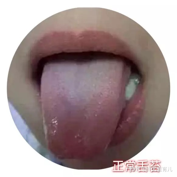 BJL平台官网