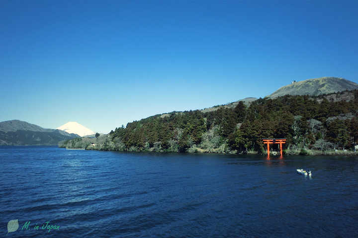 BJL平台